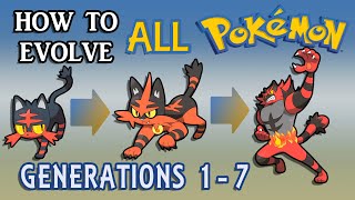 Pokémon X and Y  All Mega Evolutions w Stats and Locations [upl. by Laven805]