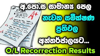 OL Recorrection Results  Shan Creation  OL 2020  DOE  OL Examination After Rescrutiny [upl. by Eornom]