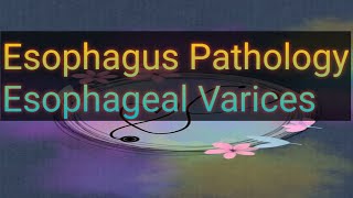 Esophageal Varices esophagus pathology part4 robbins [upl. by Ahk963]