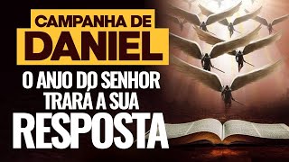 ORAÇÃO FORTÍSSIMA CAMPANHA DE DANIEL [upl. by Ahsekad858]