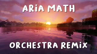 C418  Aria Math Orchestral Remix [upl. by Geer865]