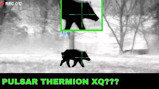 Pulsar Thermion XP50 Thermal Hunting  Thermion XQ38 and XQ50 News [upl. by Avi]