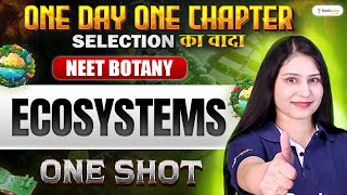 Ecosystems  One Shot  Botany  One Day One Chapter  NEET 2024  Tamsa Mam [upl. by Yeclek560]