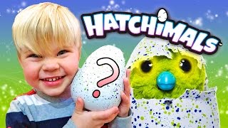 HATCHIMAL EGG SURPRISE HIS FIRST HATCHIMAL [upl. by Meeki390]