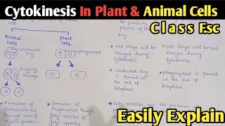 Cytokinesis In Plant And Animal Cells  Phragmoplast  Class 12 Biology [upl. by Filip]