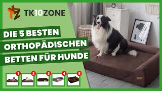 Die 5 besten orthopädischen Betten für Hunde [upl. by Fulbert156]