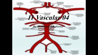 11 Vascular part4 الكفراوي أناتومى Elkafrawy Anatomy Ophthalmic Artery [upl. by Leiso411]