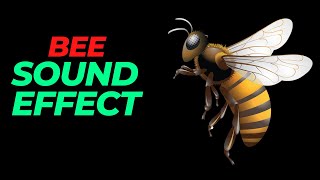 Bee sound effect no copyright  Bee noises  Bee sounds  HQ bee sound effect [upl. by Ytsirhc]