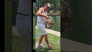 fishing fish fishing columbus ohio catfish Westgate park west side [upl. by Tharp583]