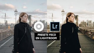 Presets Vsco Para Lightroom  Presets Lightroom Gratis  Efectos Para Fotos [upl. by Odnumyer]