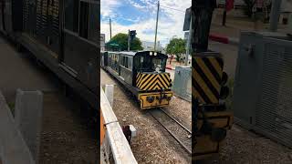 Romney sands train [upl. by Hnilym350]