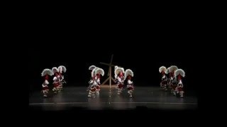 Danza de los huahuas Veracruz [upl. by Eniksre]