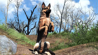 Dogmeat  Fallout 4 [upl. by Kleinstein]