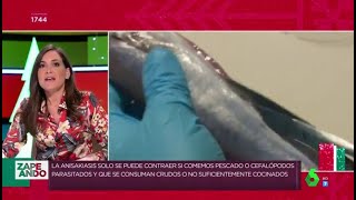 Consejos para evitar el anisakis así debes comprar el pescado  Zapeando [upl. by Bonacci538]