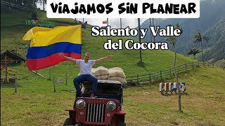 salento valle del cocora  colombia viajar para sanar [upl. by Yreffeg]