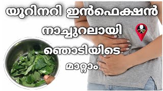 Home remedies for urinary tract infection in malayalam  UTI natural treatment  Prs kitchen tips [upl. by Gombosi]