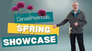 Darwin Darwin Perennials Spring Showcase 4k [upl. by Hortense]