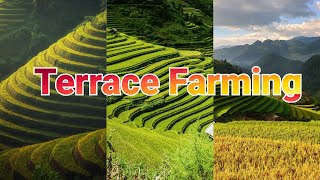 Farming Methods of Agriculture  What is Terrace Farming [upl. by Enilekcaj602]