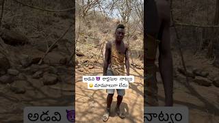 ఆఫ్రికా లో 🇹🇿 అడవి మనుషుల నాట్యం  Hadzabe Tribe Sing amp Dance Africa Tanzania Ram The Traveller [upl. by Areek374]