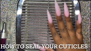 Beginner Friendly How to Seal Your Cuticles Acrylic Nails Five Methods [upl. by Ithaman]