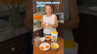 Easy puréed carrot recipe for beginners needing a puréed diet consistency [upl. by Afihtan644]