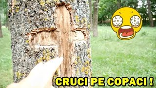 CERCETĂM CEA MAI CIUDATĂ ȘI ÎNFIORĂTOARE PĂDURE POSIBILĂ [upl. by Nolyk]