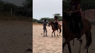 Cocanada 7 riders horse training center kakinadashortshorseridingsportsyoutube [upl. by Mimajneb714]