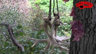 Best Antler Rattling Secrets Ever Revealed  Tree Stand Deer Hunting [upl. by Nneb965]