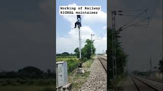 Railway Signal technician Work Todayytshorts of railway signal technician workstatusvideo [upl. by Enneyehc373]