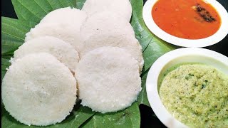 ಸಾಮೆ ಅಕ್ಕಿ ಇಡ್ಲಿ  Saame Idli  Little Millet Idli  Siridhanya  Millet Recipes  Soft Idli Recipe [upl. by Atiras]