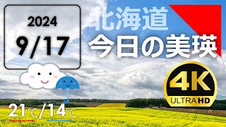 今日のびえい！【拡大版】北海道美瑛町の風景を毎日発信中｜2024917 [upl. by Yannodrahc971]