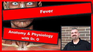 Fever Anatomy and Physiology [upl. by Vinita]