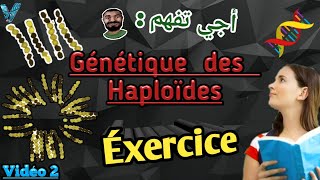 Vidéo 2 Génétique des Haploïdes en Arabe SVI S4 Exercice facile et important [upl. by Nallij]