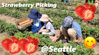 Strawberry Picking at Remlinger Farms  Trip Idea  Seattle Life English subtitle available [upl. by Evonne]