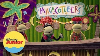 Macacotubers  Morko e Mali [upl. by Connor]