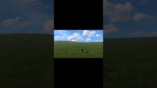 Rex in the windows XP homescreen [upl. by Yllen]