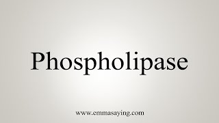 How To Say Phospholipase [upl. by Modern]