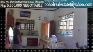 CHEAP HOUSE IN A WHITE SAND BEACH LOT FOR SALE IN BOHOL PHILIPPINES [upl. by Xilef]