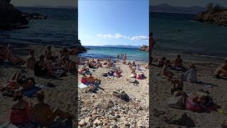 🏖 Las Increíbles playas de Mallorca Spain 🇪🇸 beach playamallorca travel short [upl. by Acissj]