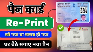 Physical Pan Card Reprint Online New Process 2024  nsdl pan reprint how to reprint pan card online [upl. by Aisatal423]