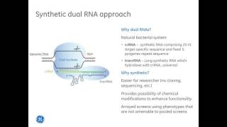 DNA Double Strand Breaks And Repair Systems Part 2 [upl. by Nocaed]