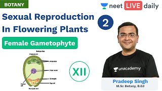 NEET Sexual Reproduction in Flowering Plants  L 2  Unacademy NEET  Class 12  Pradeep Sir [upl. by Keelby]