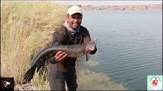 ‎bangaloreanglersstrike4096 35 brothers participants anglers online compitation videos fishing [upl. by Ykceb]