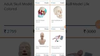 Human Anatomy Models amp Manikin manikin anatomy medicalcollage shortsfeed short nursing [upl. by Elwina466]