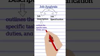 Job Analysis and its Components Job Description Vs Job Specification Human Resource ManagementHRM [upl. by Scever217]