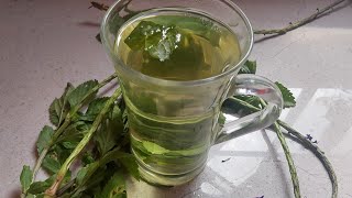 HEALTH BENEFITS OF VERVINE BLUE VERVAIN TEA natural remedies 2 [upl. by Erfert]