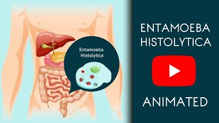 Entamoeba Histolytica in Easy Animated  Microbiology [upl. by Gen]