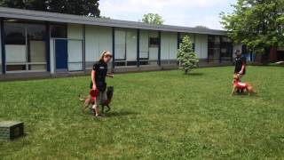 Walkersville Middle School Career Day [upl. by Lowery]