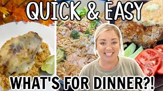 QUICK AND EASY DINNERS  WHATS FOR DINNER  YOUR FAMILY WILL LOVE THESE RECIPES  EASY COOKING [upl. by Bethesda]