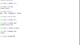 Using cd to navigate to a directory using a relative path [upl. by Nwahsem]